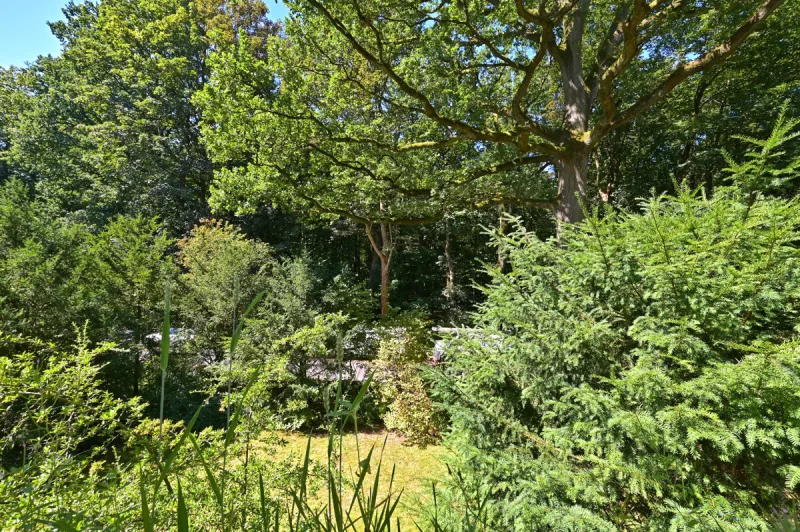 Ansicht · Märchenhafte Idylle im Nibelungenviertel – Ihr Naturtraum im Grünen · Bild 15 von 30 · IMMO Holm