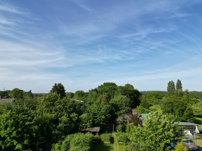 Ansicht · Gartenparadies für die ganze Familie - wo Ihr Traumhaus Wurzeln schlägt! · Bild 14 von 19 · IMMO Holm