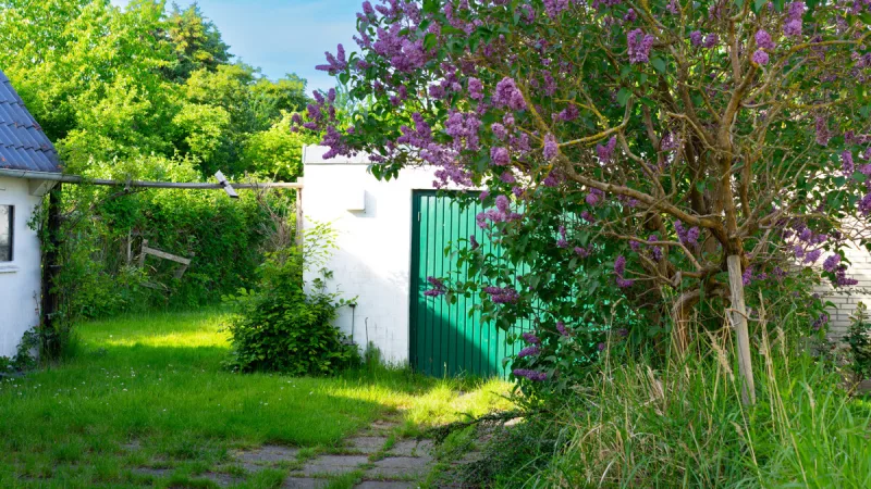 Ansicht · Gartenparadies für die ganze Familie - wo Ihr Traumhaus Wurzeln schlägt! · Bild 16 von 19 · IMMO Holm