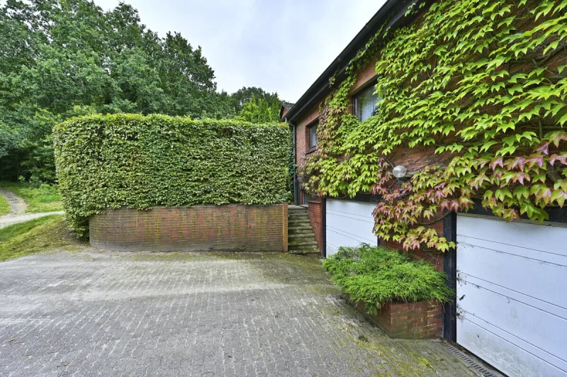 Ansicht · Am Waldrand – Einfamilienhaus mit Einliegerwohnung · Bild 7 von 13 · IMMO Holm