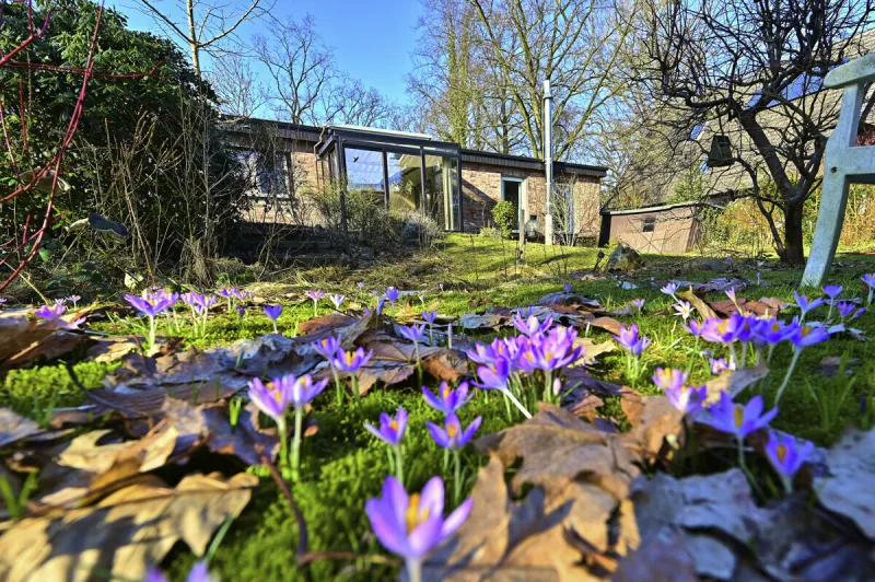 Ansicht · Wohnen auf einer Ebene – Familienbungalow mit Garten & Potenzial · Bild 15 von 16 · IMMO Holm