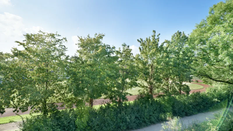 Ansicht · Toll geschnittenes Familiennest in der Altstadt · Bild 11 von 13 · IMMO Holm